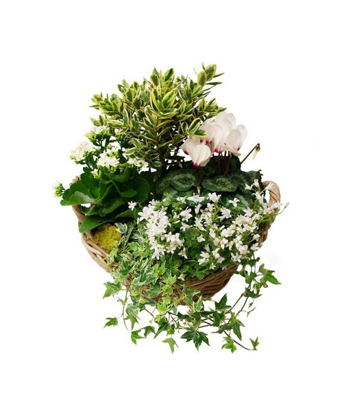 COMPOSITION DE DEUIL MÉMOIRE DU COEUR - ENVOYER DES FLEURS COMPOSITION DE DEUIL MÉMOIRE DU COEUR - ENVOYER DES FLEURS