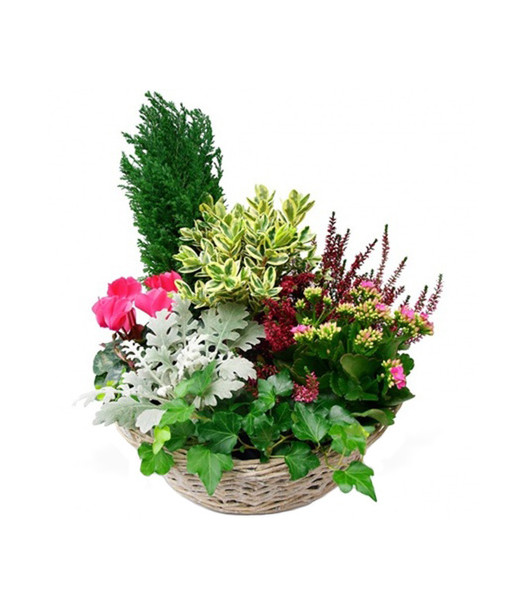 COMPOSITION DE DEUIL EN SOUVENIR - ENVOYER DES FLEURS COMPOSITION DE DEUIL EN SOUVENIR - ENVOYER DES FLEURS