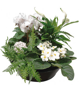 COMPOSITION JARDIN ZEN - ENVOYER DES FLEURS