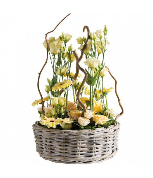 COMPOSITION DE FLEURS PROMESSE - ENVOYER DES FLEURS COMPOSITION DE FLEURS PROMESSE - ENVOYER DES FLEURS