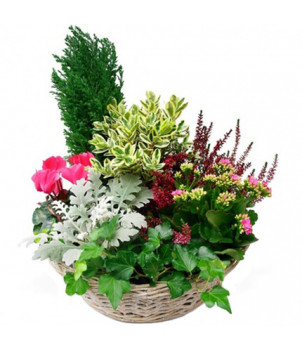 COMPOSITION DE DEUIL EN SOUVENIR CORSE - ENVOYER DES FLEURS