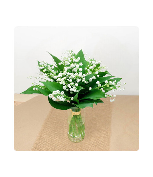 BOUQUET DE MUGUET