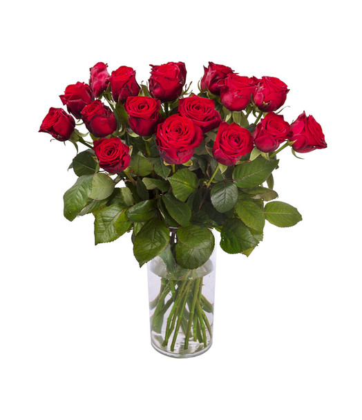 BOUQUET DE ROSES ROUGES A L'UNITÉ - ENVOYER DES FLEURS BOUQUET DE ROSES ROUGES A L'UNITÉ - ENVOYER DES FLEURS