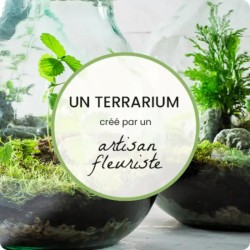 TERRARIUM DU FLEURISTE