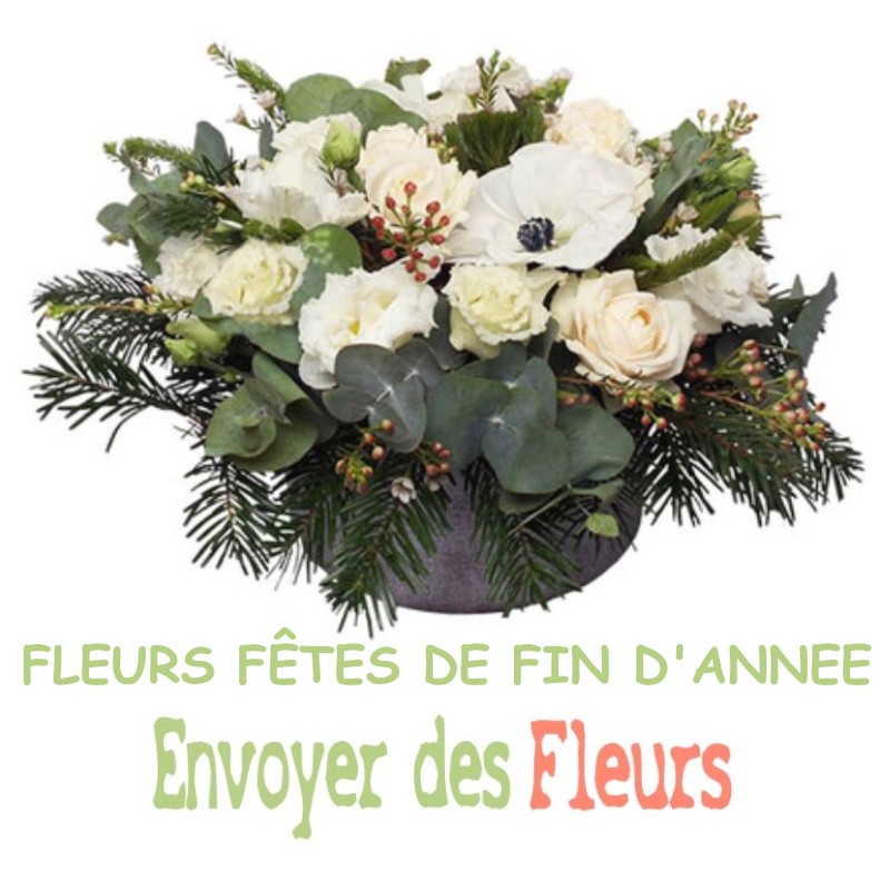 FLEURS NOËL ET FÊTES DE FIN D'ANNEE