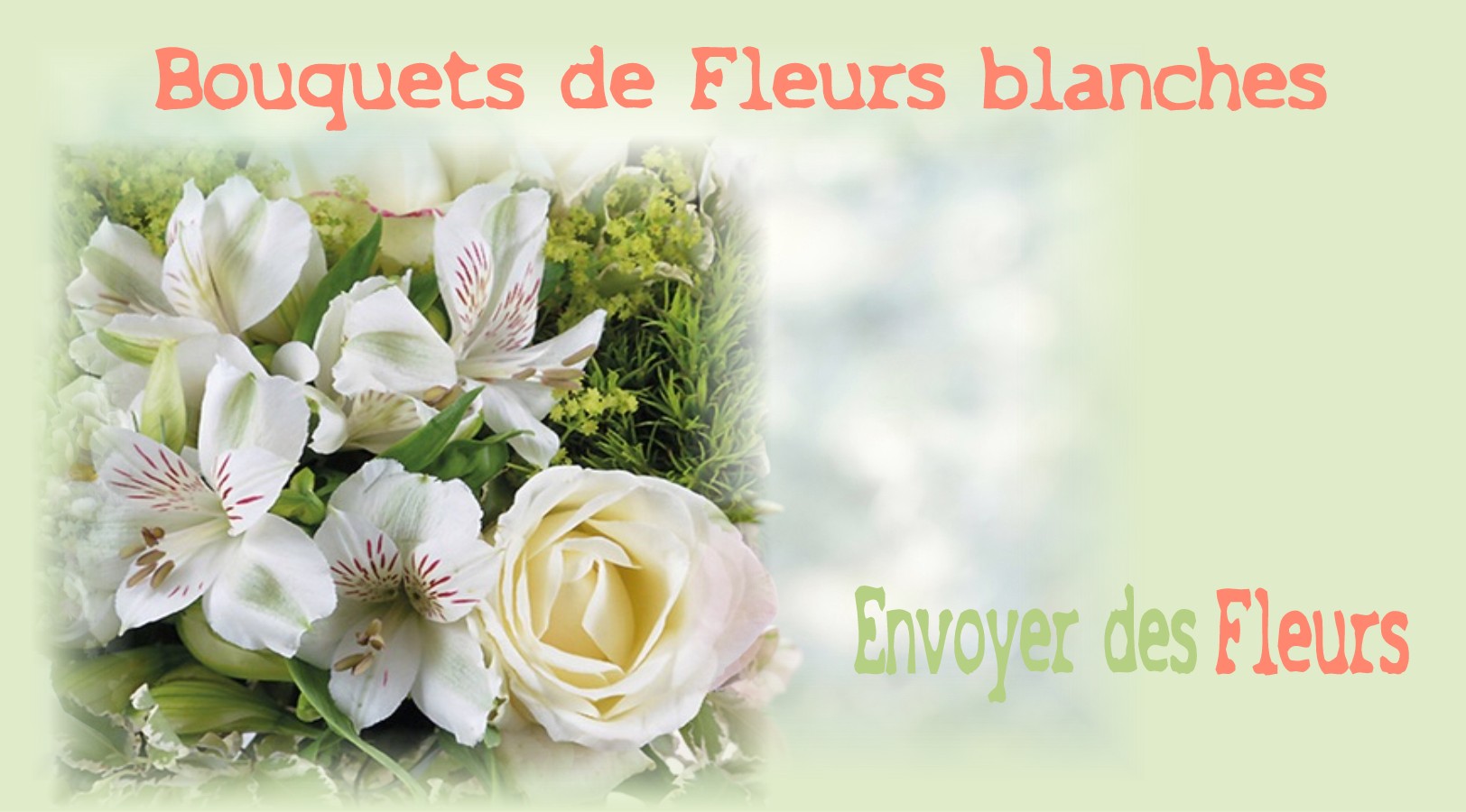 BOUQUETS DE FLEURS BLANCHES -FLEURISTE MONTPELLIER (34) - ENVOYER DES FLEURS
