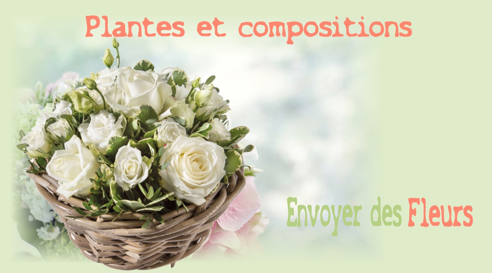 PLANTES ET COMPOSITIONS