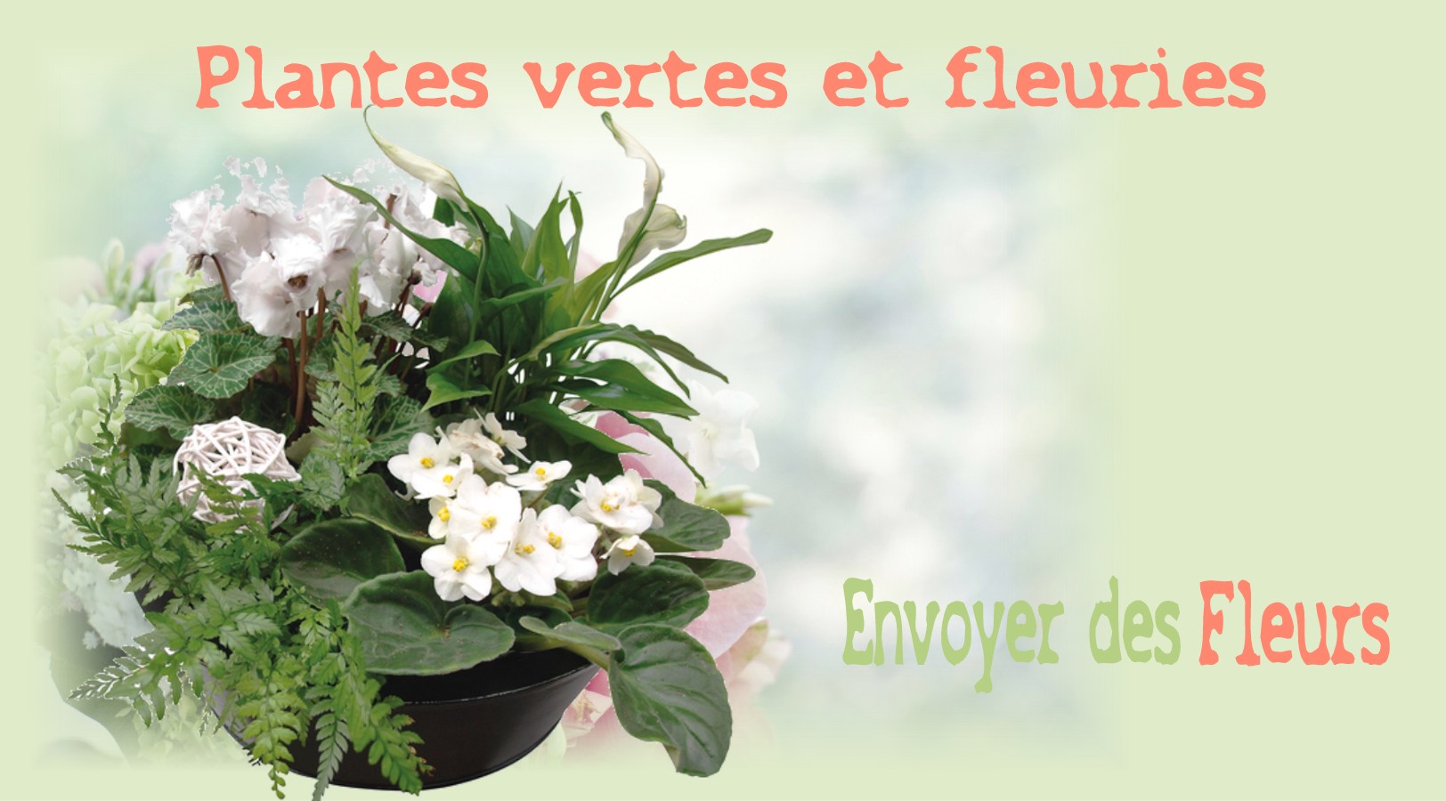 PLANTES VERTES ET FLEURIES